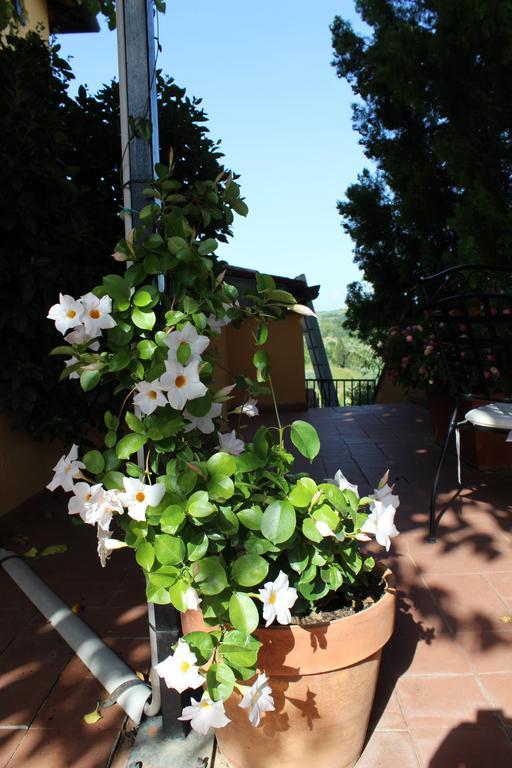 Albergo La Pieve Castelfiorentino Exteriér fotografie