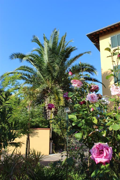 Albergo La Pieve Castelfiorentino Exteriér fotografie