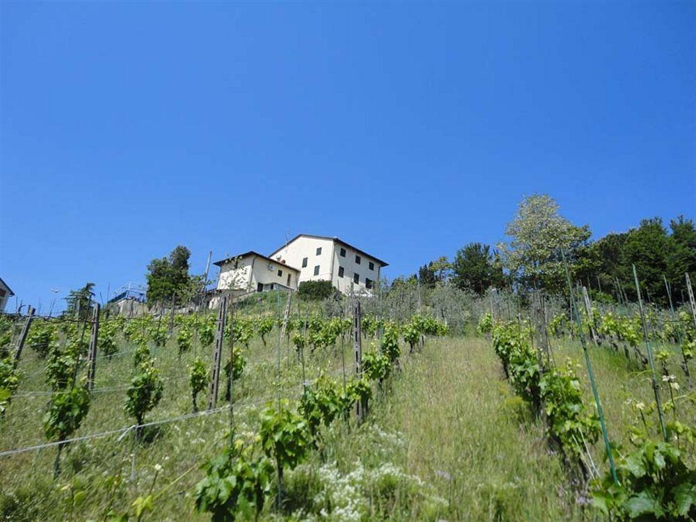 Albergo La Pieve Castelfiorentino Exteriér fotografie